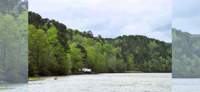 Burchfield Branch Park, Brookwood, Alabama