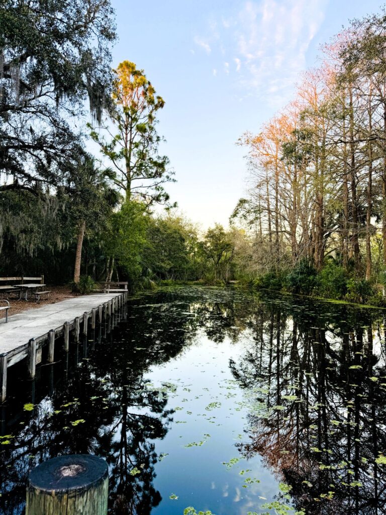 Boat access canal at Lake Griffin State Park