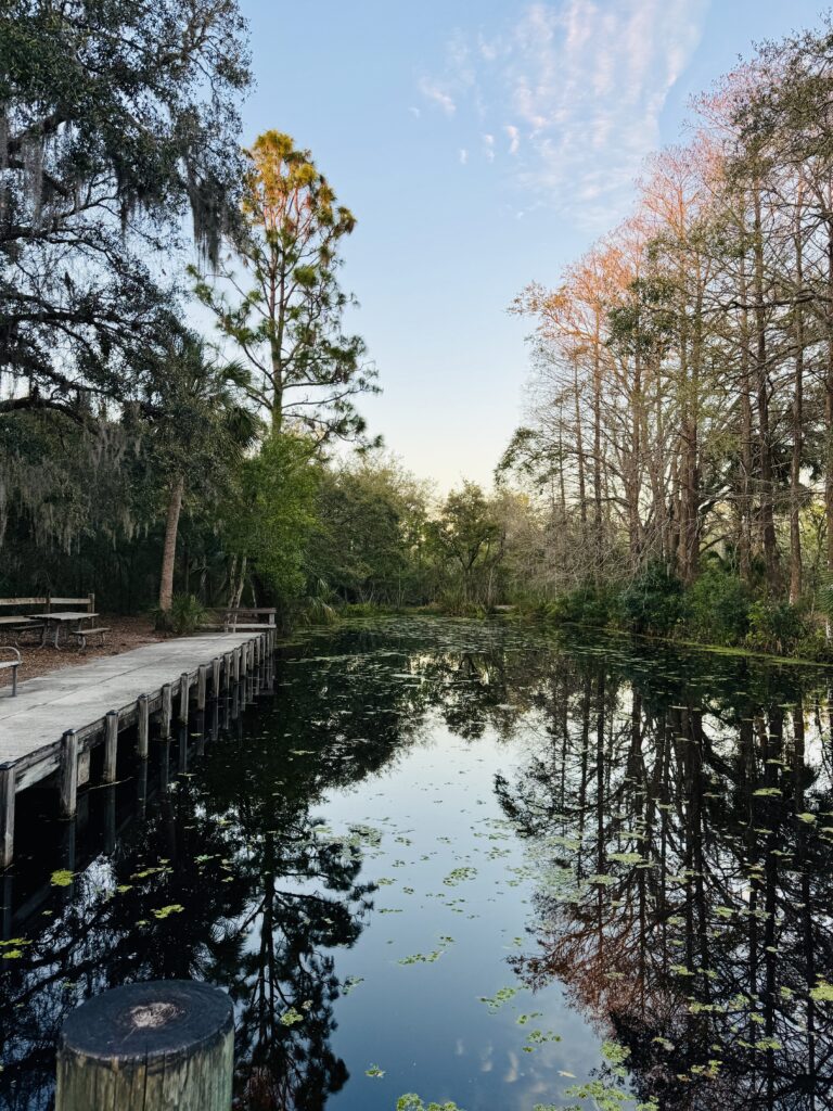 Boat access waterway at Lake Griffin State Park