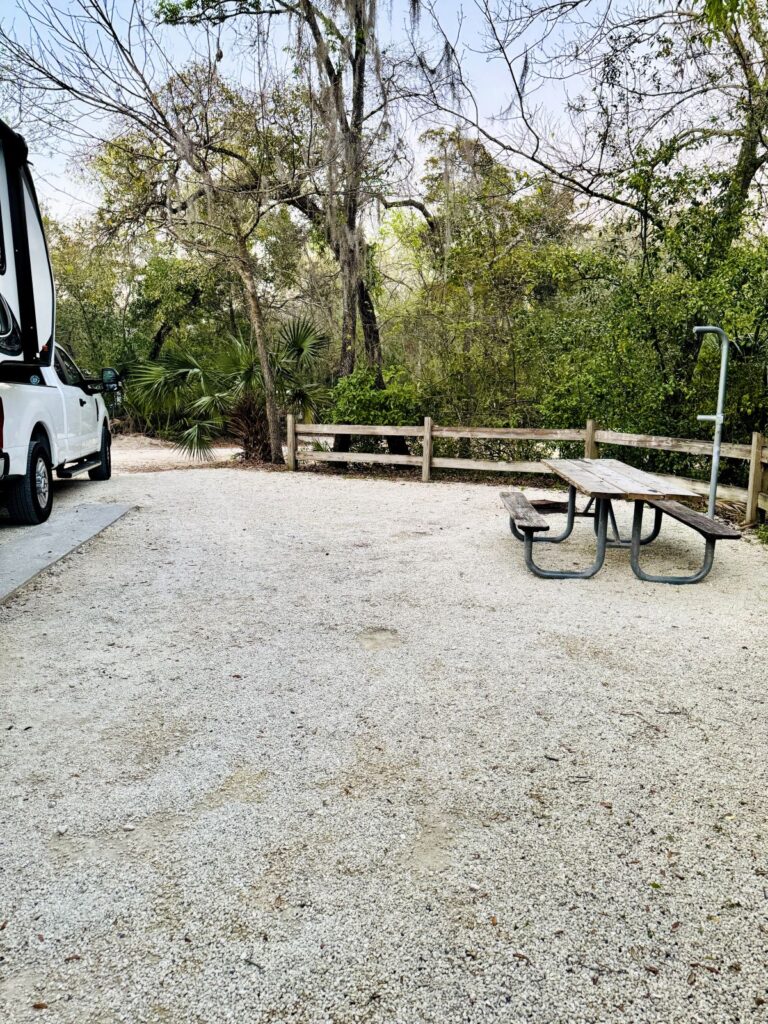Photo of campsite 33 in Lake Griffin State Park FL